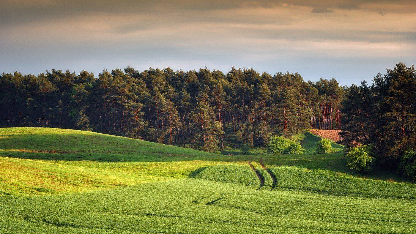 , Wojtek Kapuściński
