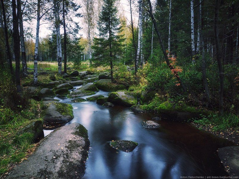 Камни, Лес, Река Соколиный камень II фото превью