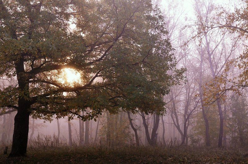 осенние зарисовки фото превью