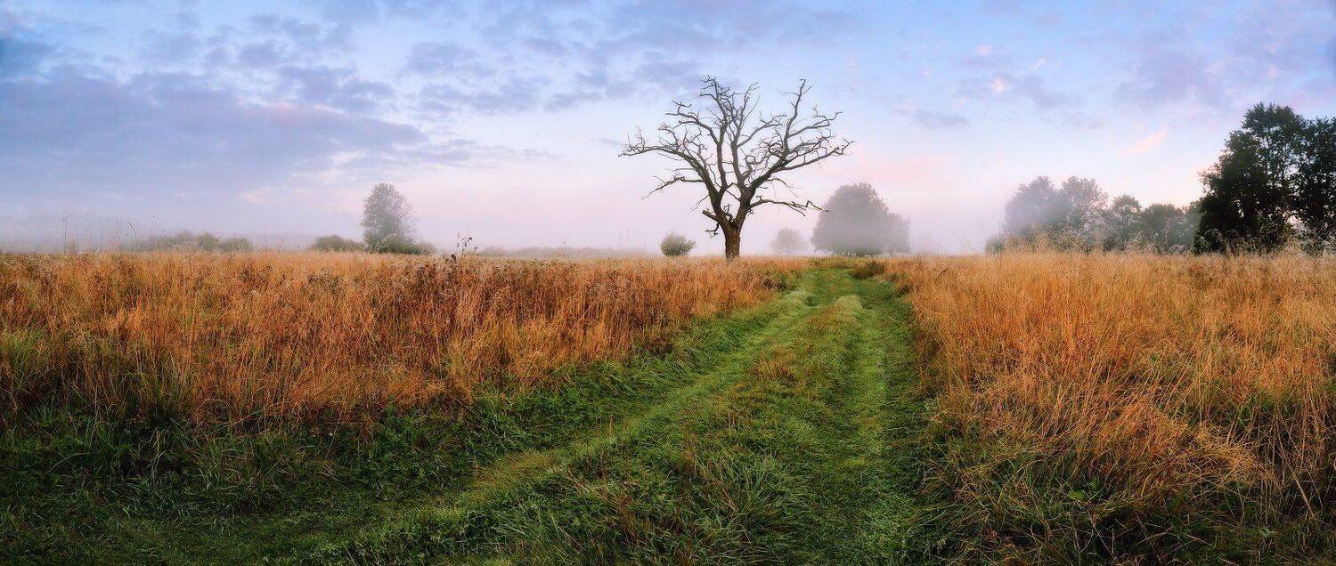 , Вейзе Максим