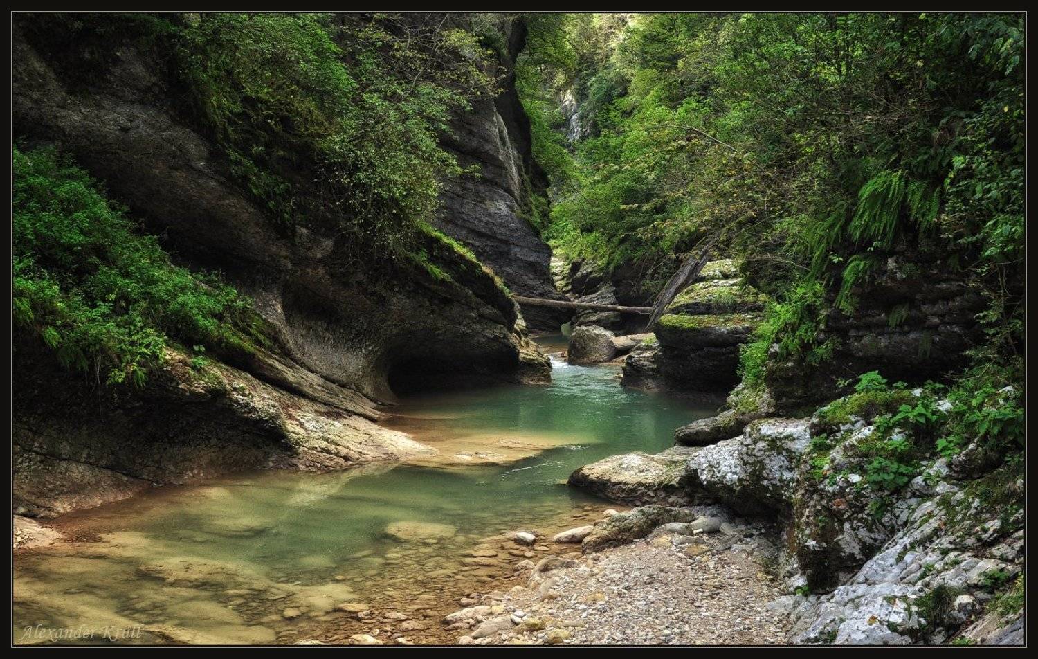курджипс, Александр Круль