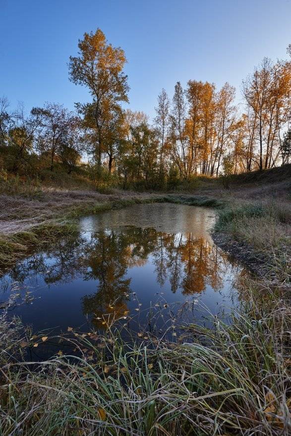 , Михаил Зверев