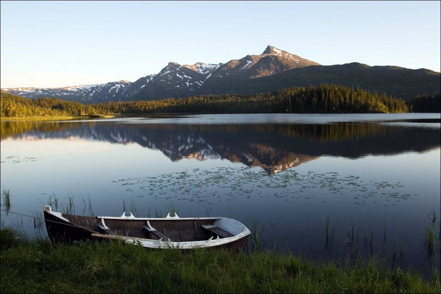 , Крицак Ольга