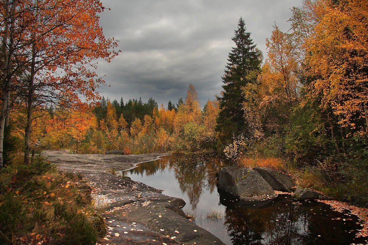 , Александр Коротков