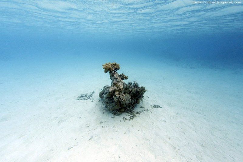 _______________________________________ фото превью