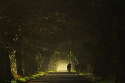 Life is a Journey...