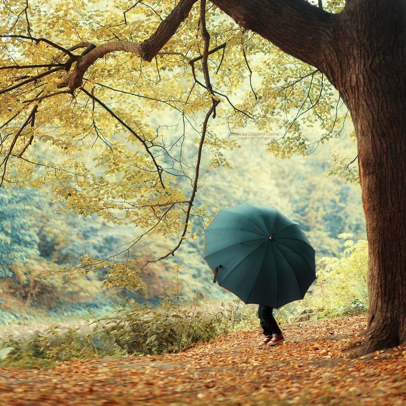 Осень фото превью