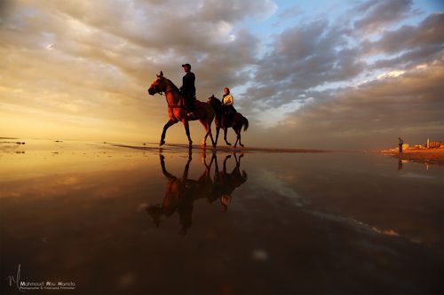 Riders Into The Sunset