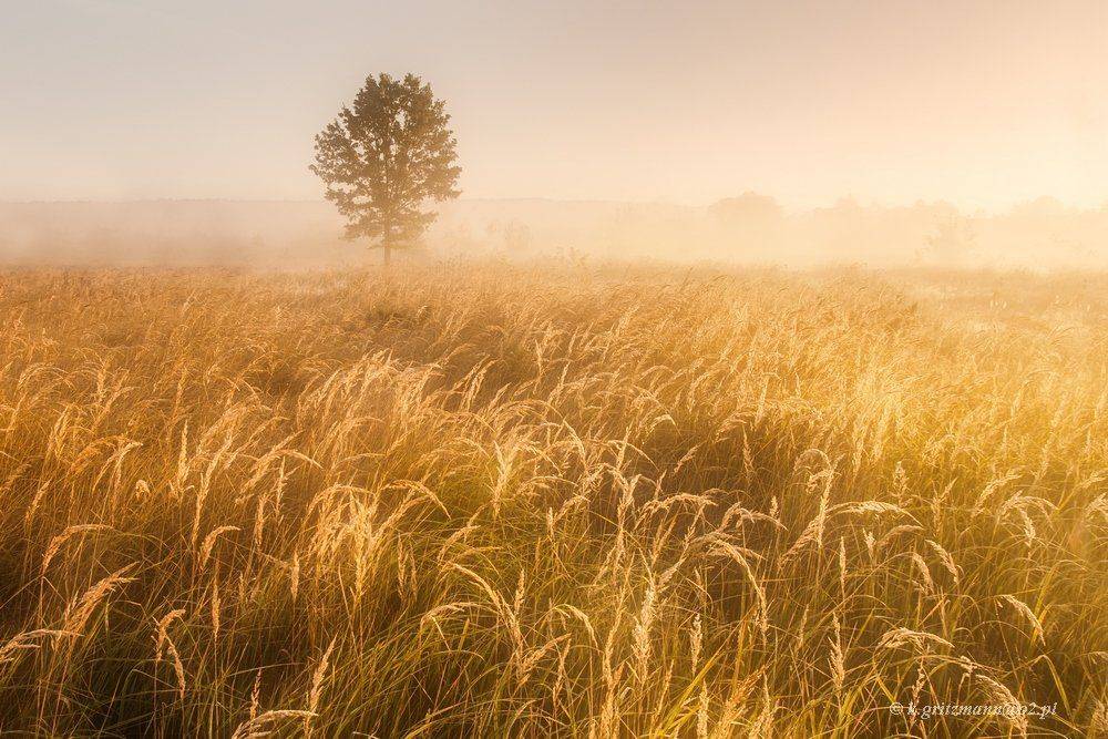 , Katarzyna Gritzmann