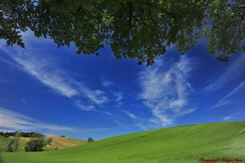 Ispod Krošnje фото превью