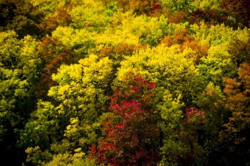 Заилийский Алатау в сентябре