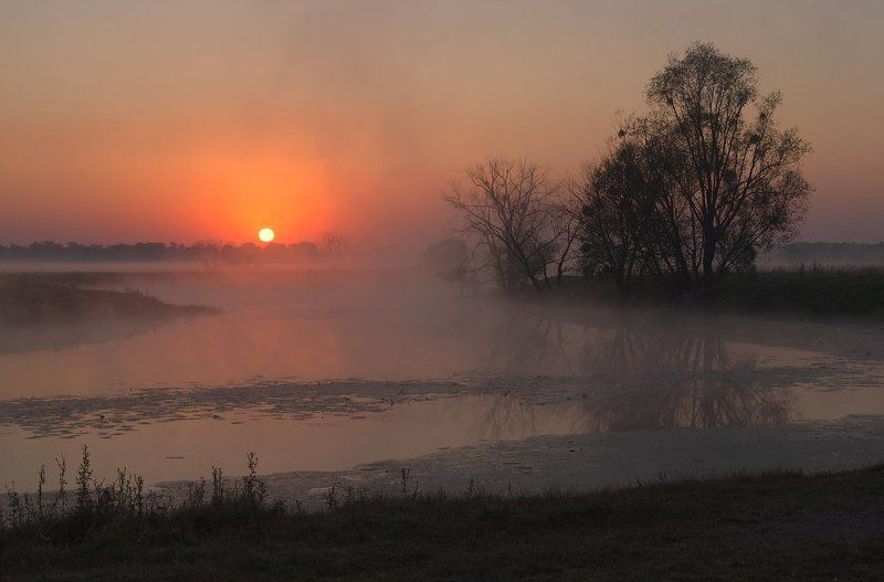 утро старой  речки... фото превью