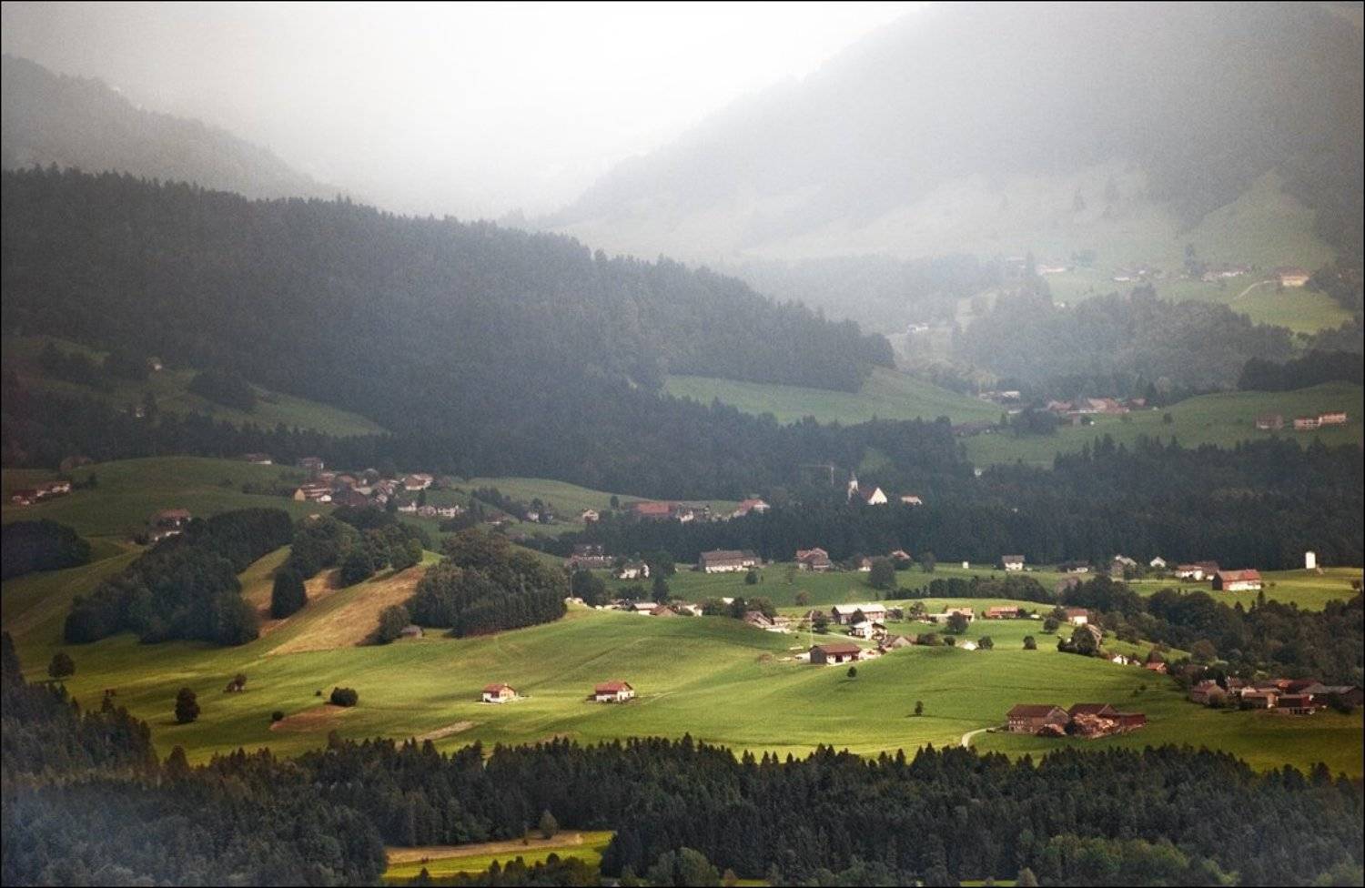 , Крицак Ольга