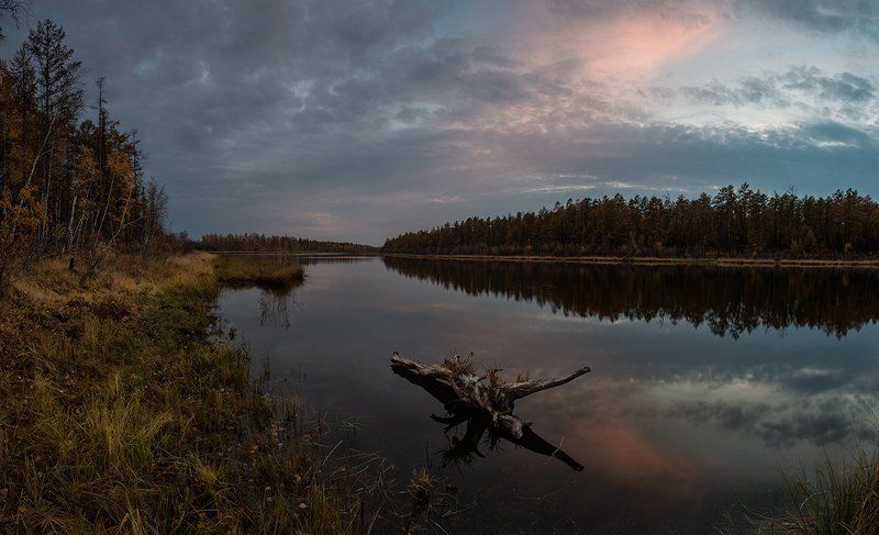 Закатная с корягой фото превью