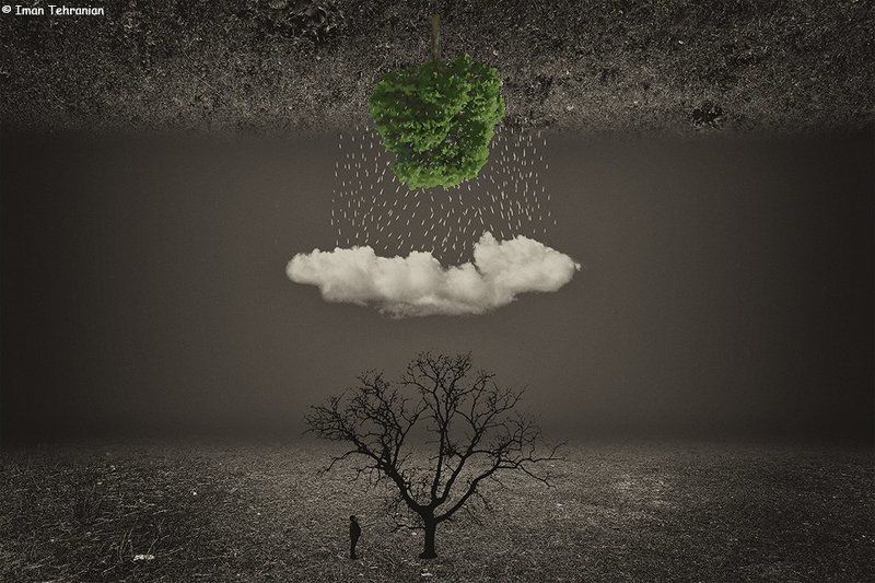 фото превью