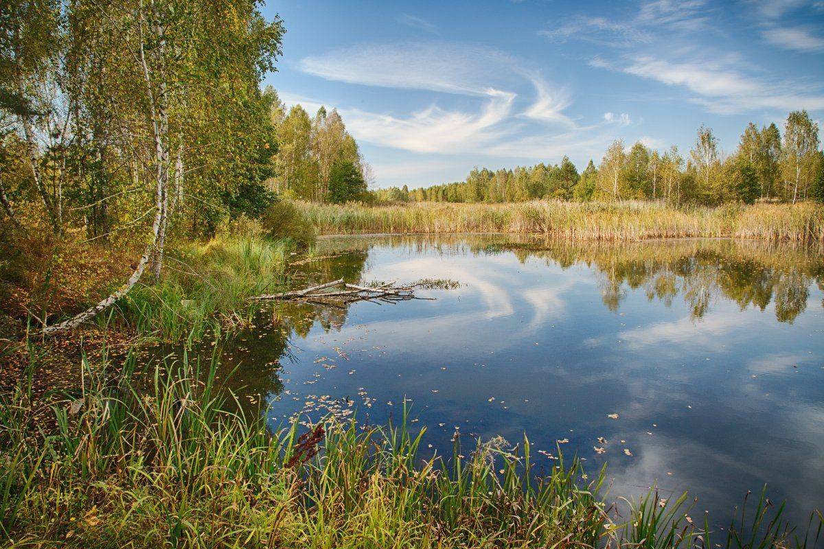 Лес, Небо, Облака, Озеро, Осень, Отражение, Пейзаж, Полесье, Природа, Сентябрь, Александр Удовиченко