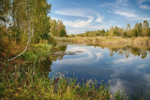 Автограф сентября