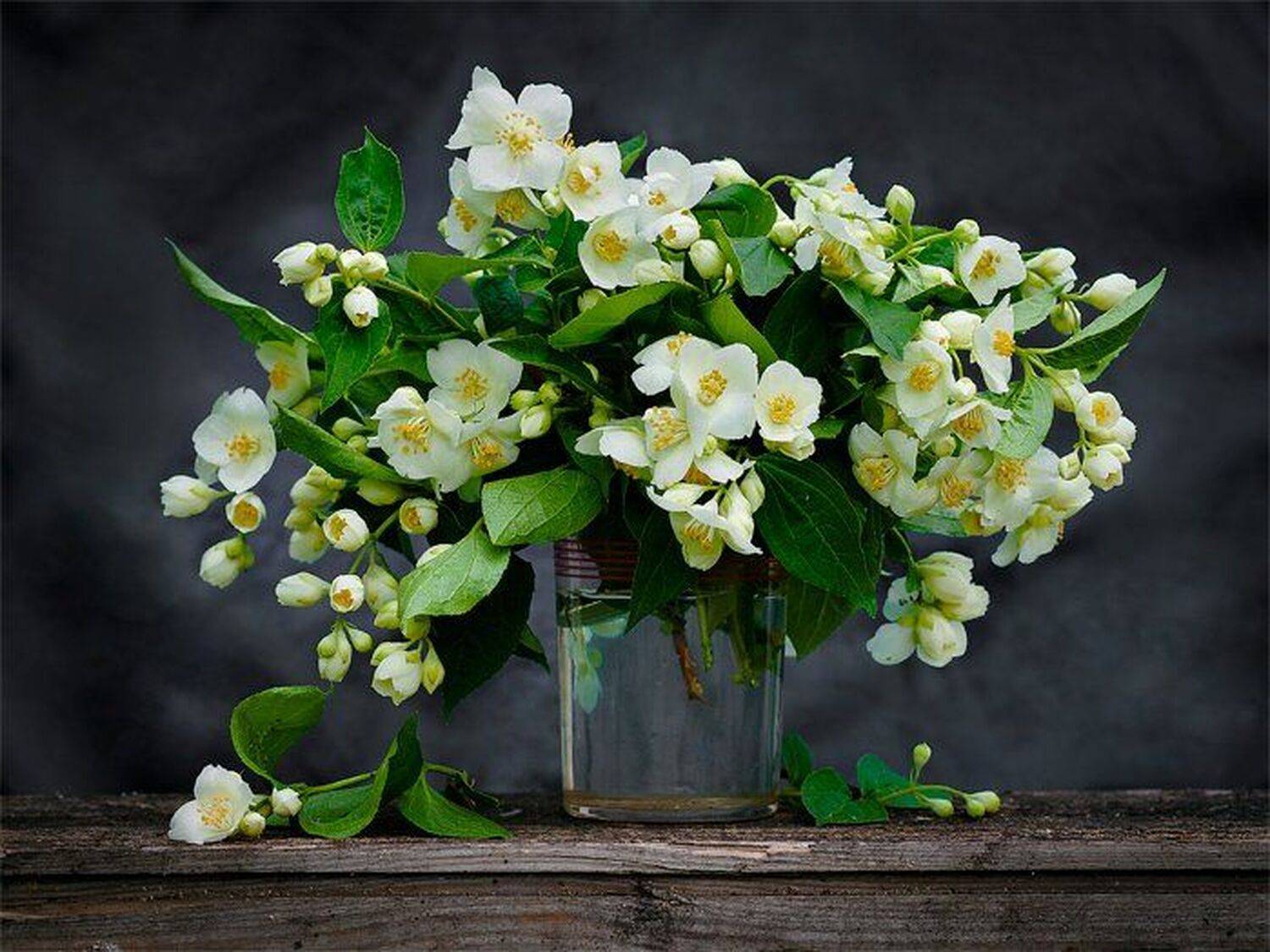 , Морозова Оксана