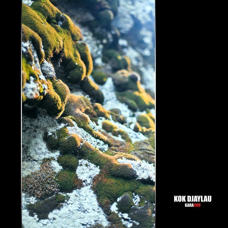 Кок Жайляу \\ Казахстан фото превью