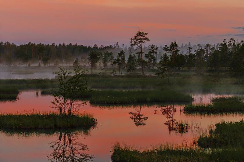 Восход, Карелия, Лето, Пейзаж, Природа, Путешествие, Рассвет, Туман, Утро *** фото превью