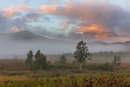 Пробуждение