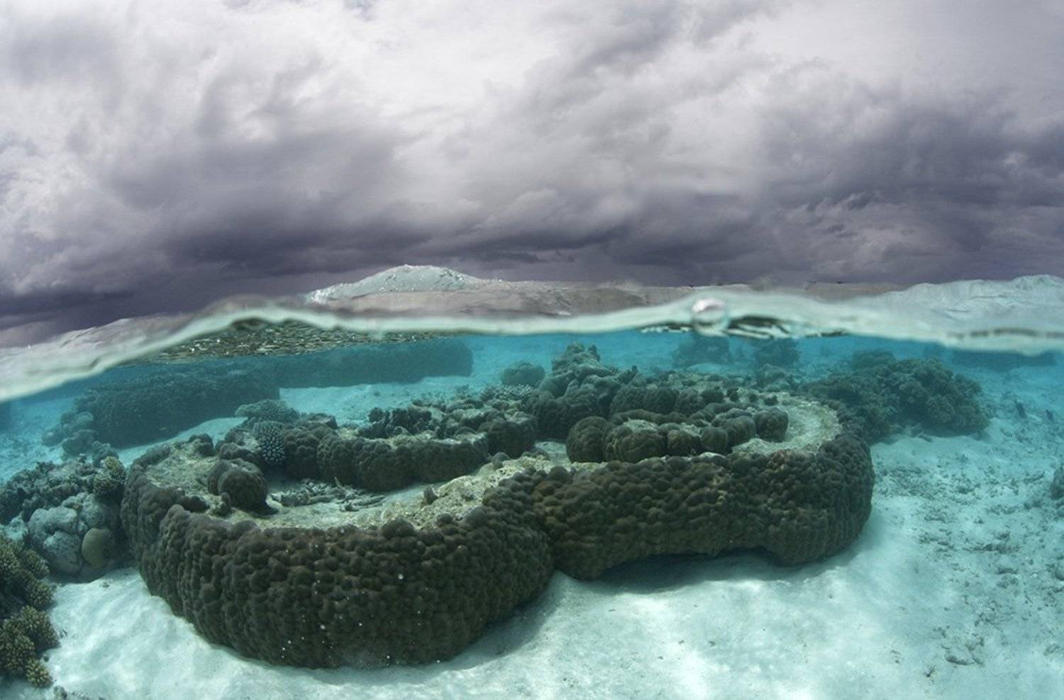 , Эдуард VTORNIK  Николаев