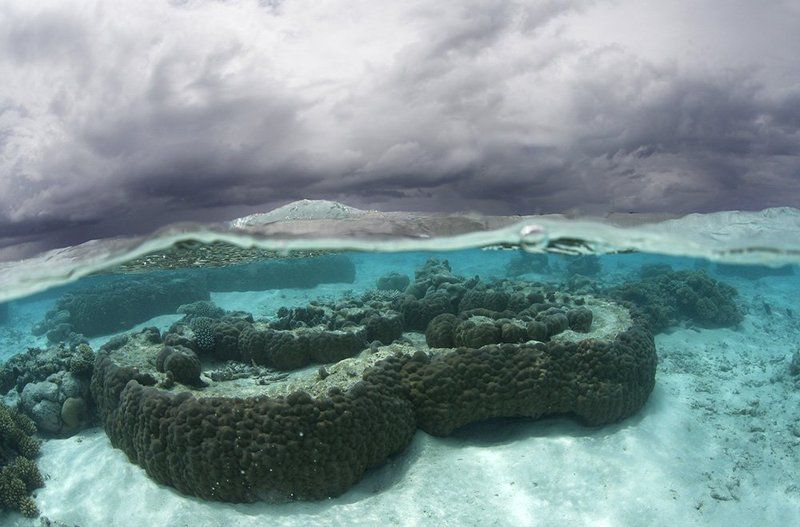 Сплит фото превью