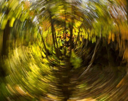 Кружение бабьего лета