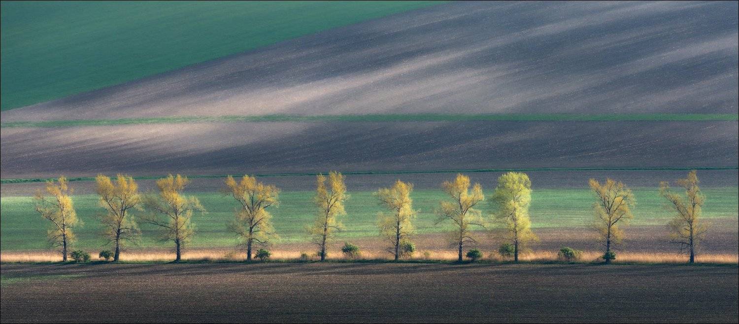 Line, Rhythm, Линии, Моравия, Свет, Чехия, Влад Соколовский