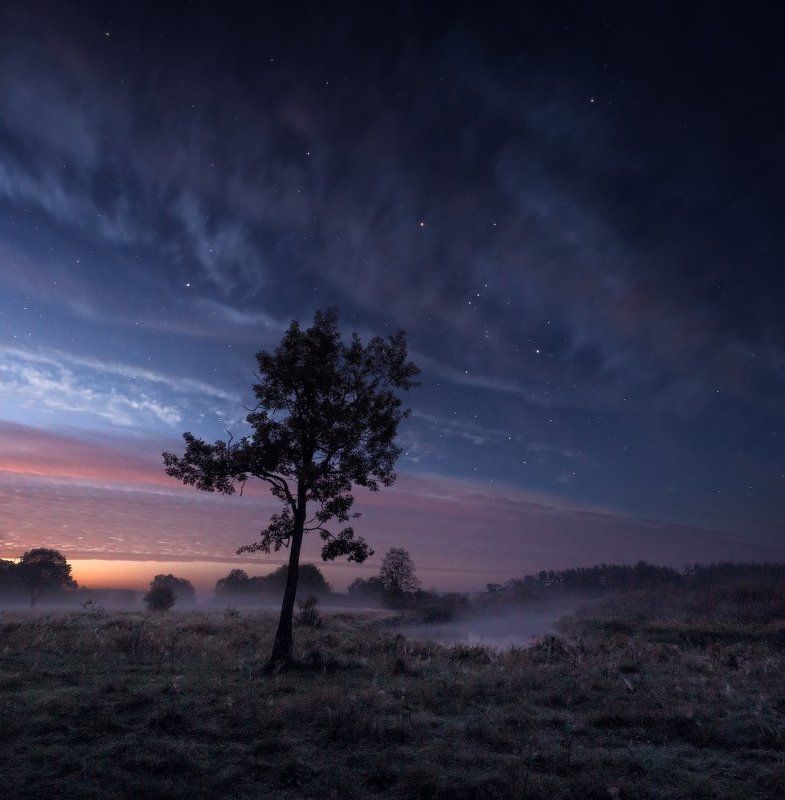 неман, звезды, орион, дуб, осень, ночь Звездная ночь на Немане фото превью