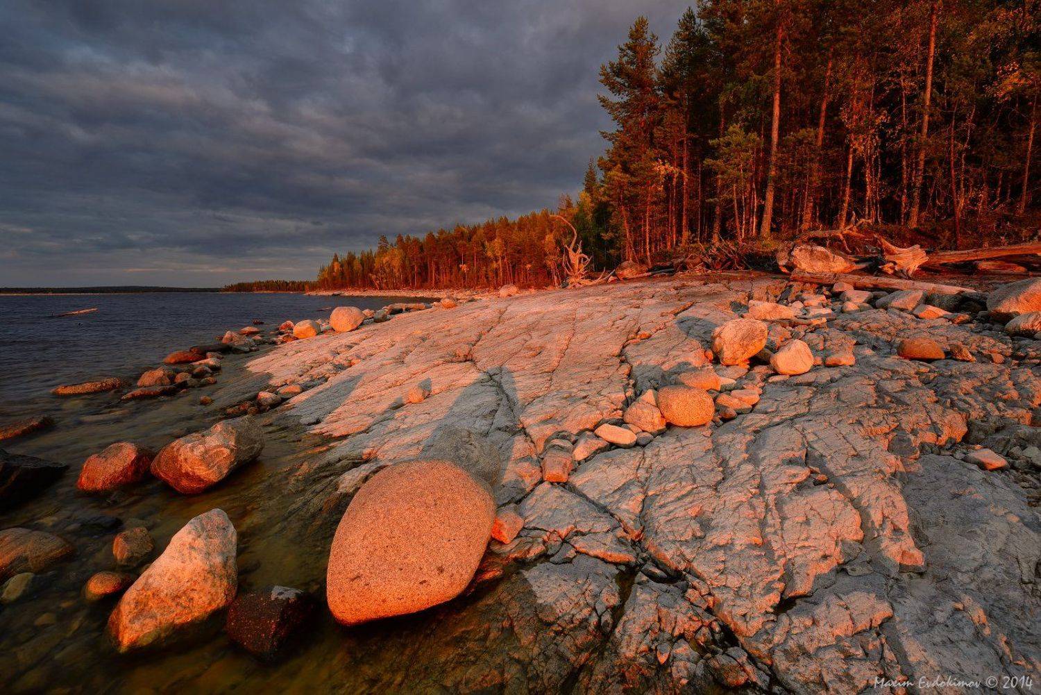 , Максим Евдокимов
