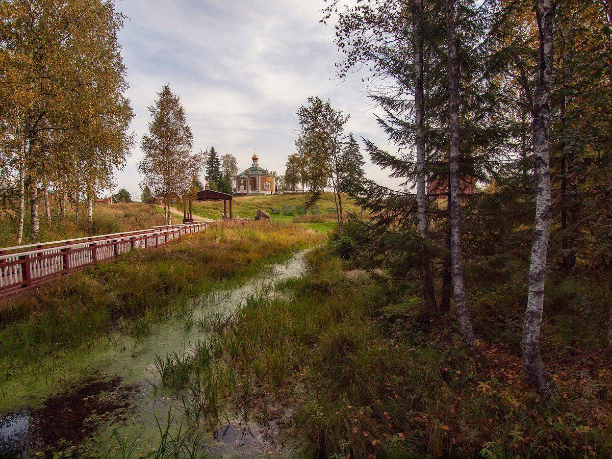 , Владимир Перепечаев