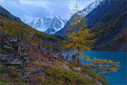 Осенняя сказка Шавлы