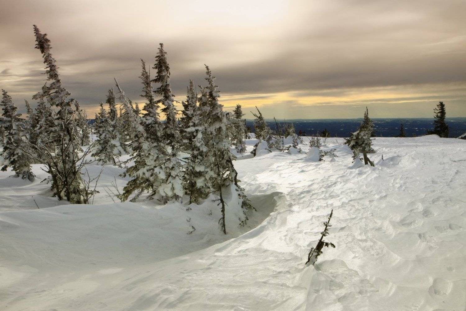 зима, горная шория, шерегеш, Галина Хвостенко
