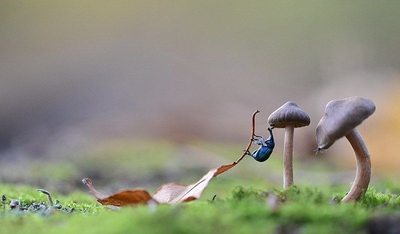 Вот долезу и скажу: - довольно, милая... Тут сорвался вниз, но.... фото превью