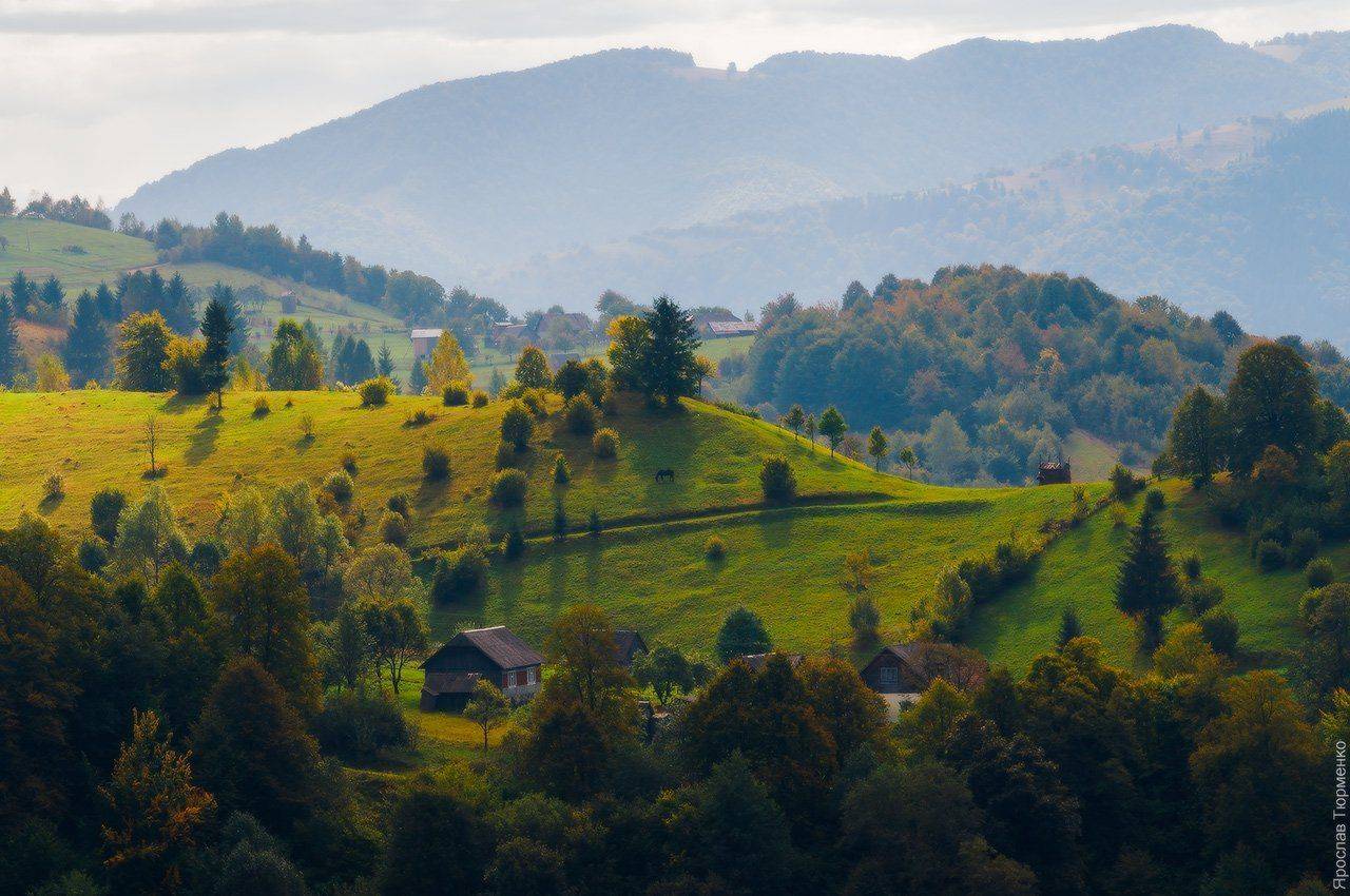 , Ярослав Тюрменко (Jaremi)