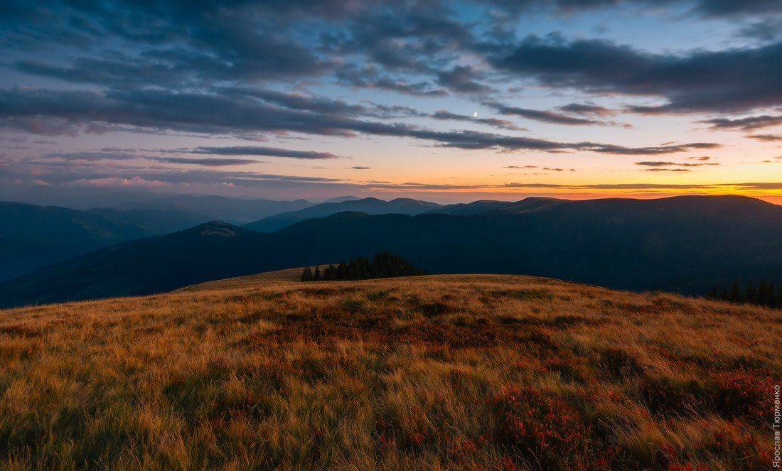 , Ярослав Тюрменко (Jaremi)