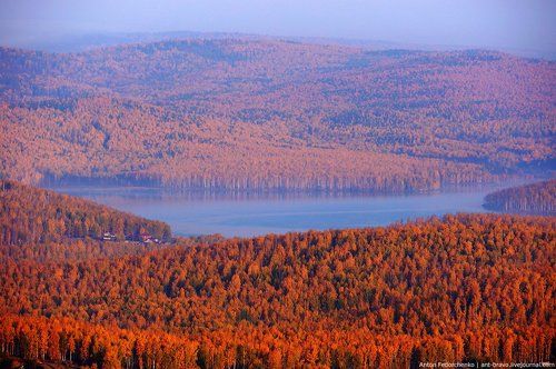 «Серебры» в золоте
