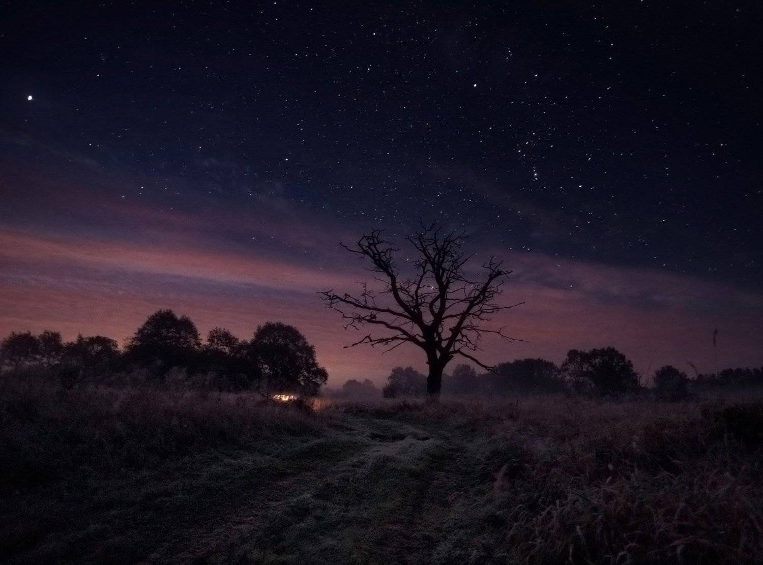 неман, осень, ночь, орион, звезды, Алексей Угальников