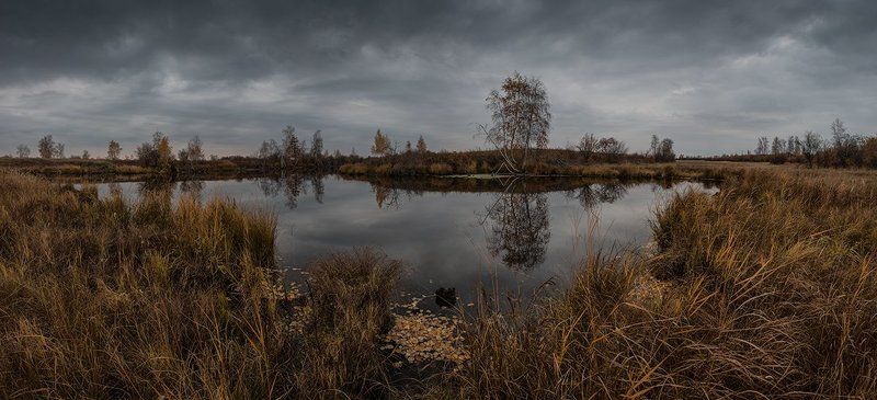 Мгновение до снега фото превью