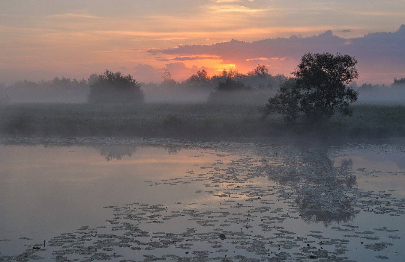 , Володимир Карчевський