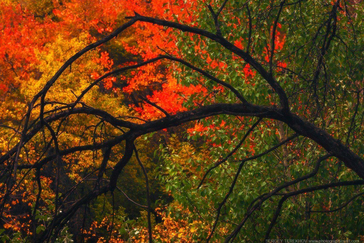 , Сергей Теректы