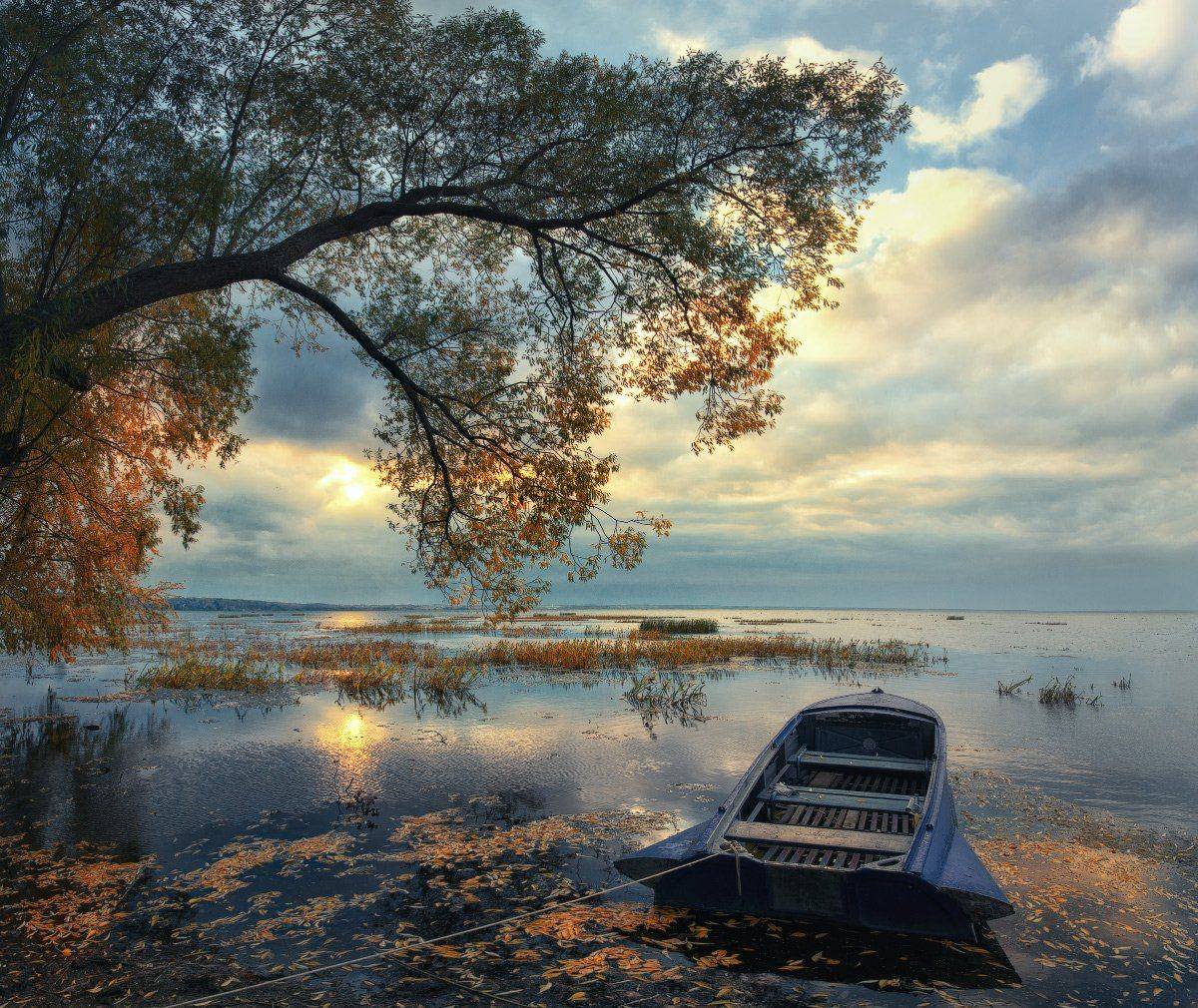 , Жмак Евгений