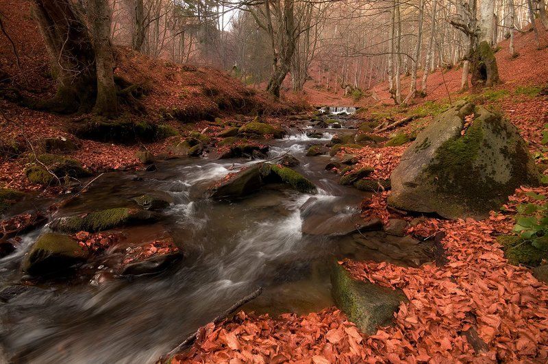 Autumn in Red фото превью