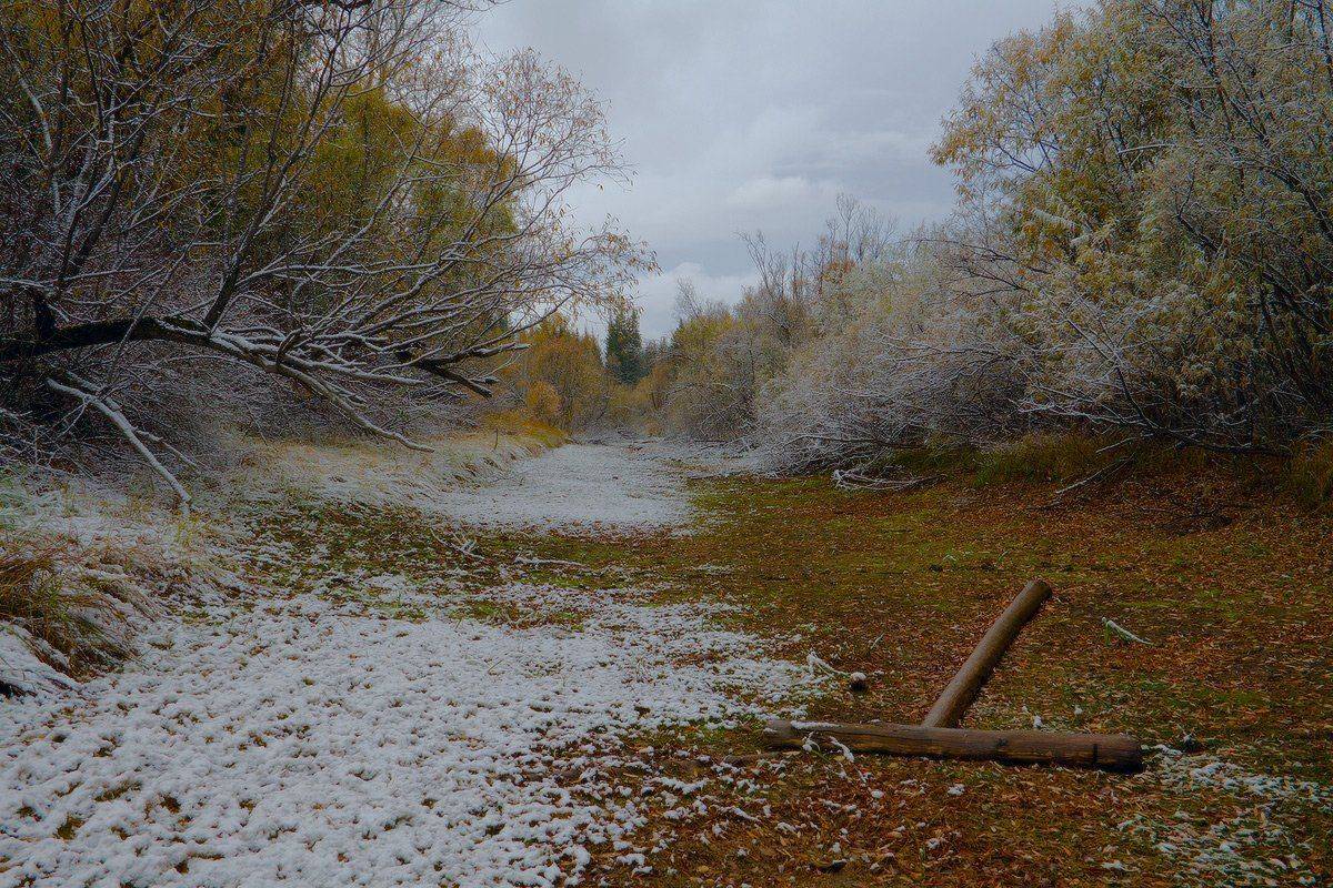 , Николай Морский