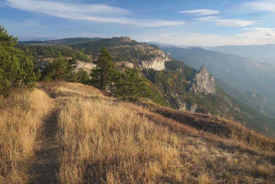 , Саша  Вайсберг / Waldschnepfe /