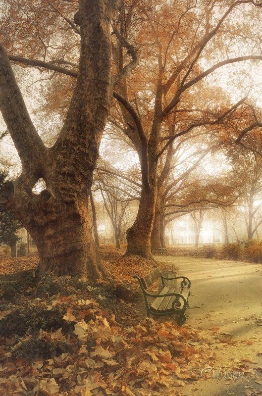 Autumn Whisper фото превью