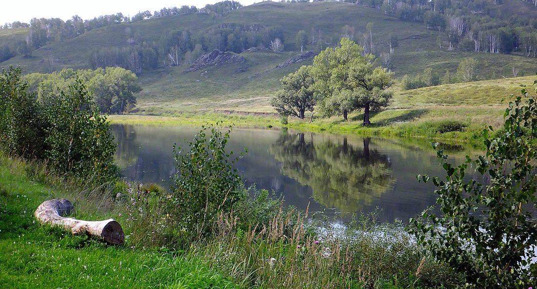 , Качурин Алексей