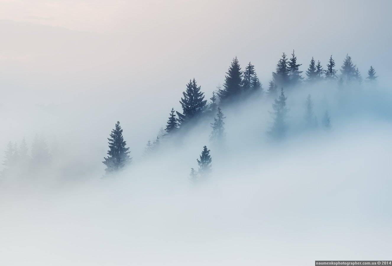 карпаты,	пейзаж,	рассвет, туман,	туманное утро, украина,	утро,	дземброня, Александр