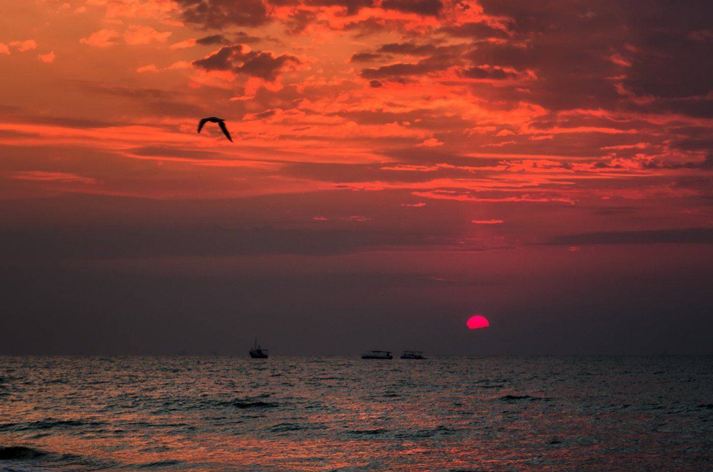 , Игорь Мелекесцев